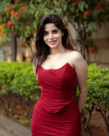 Ghaziabad Escort Services